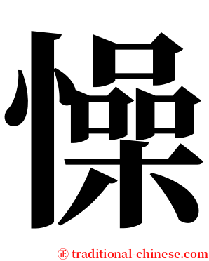 懆 serif font