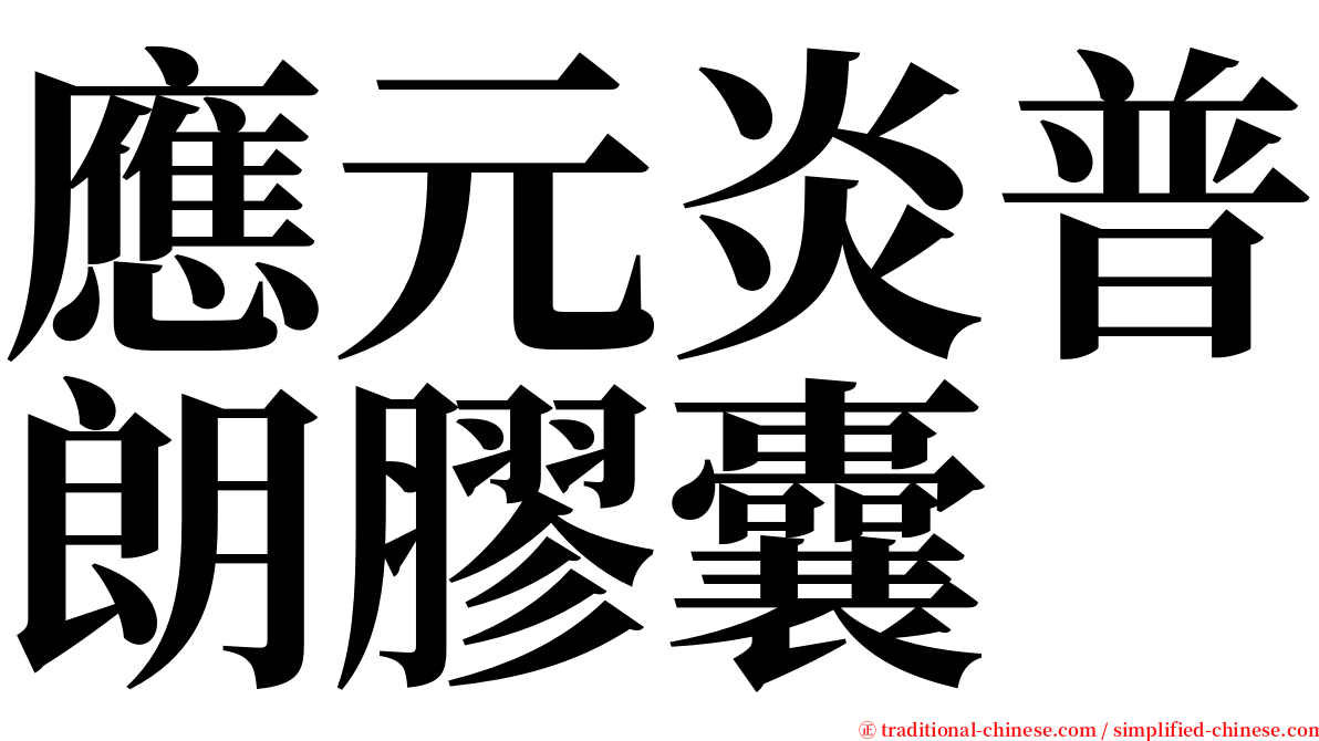 應元炎普朗膠囊 serif font