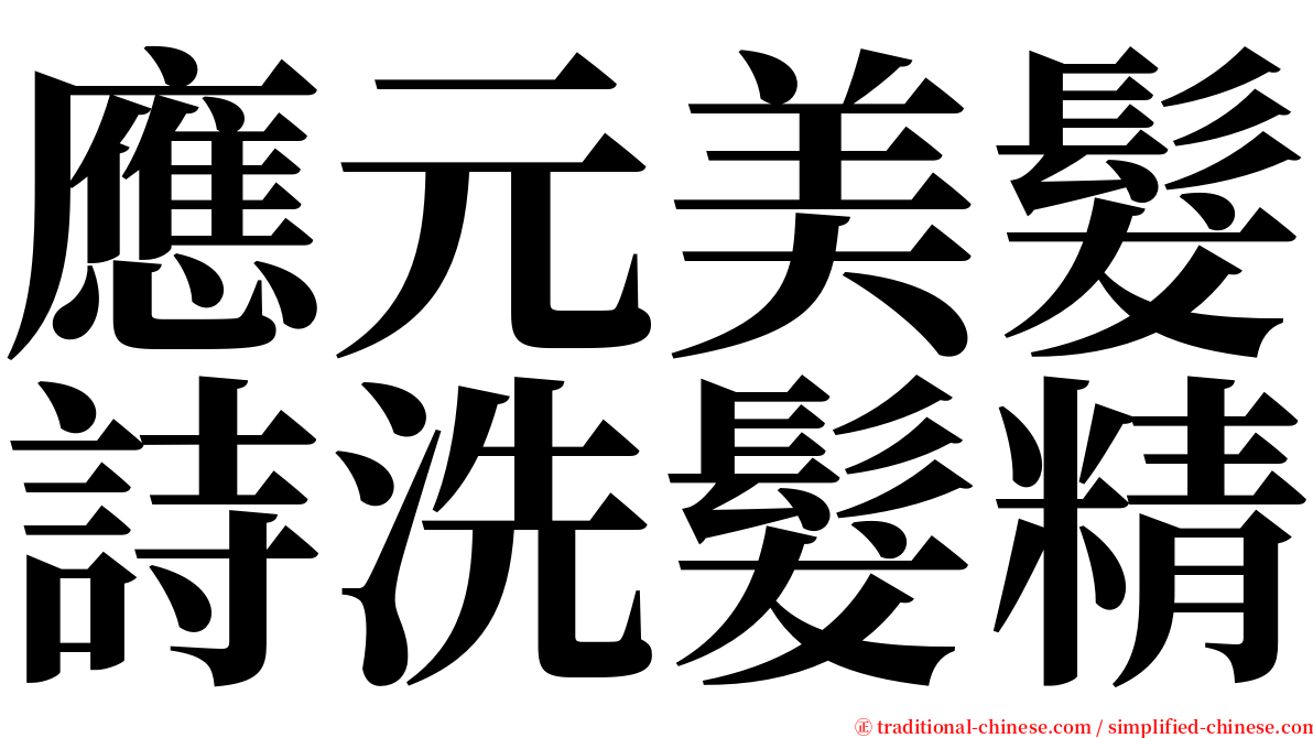 應元美髮詩洗髮精 serif font