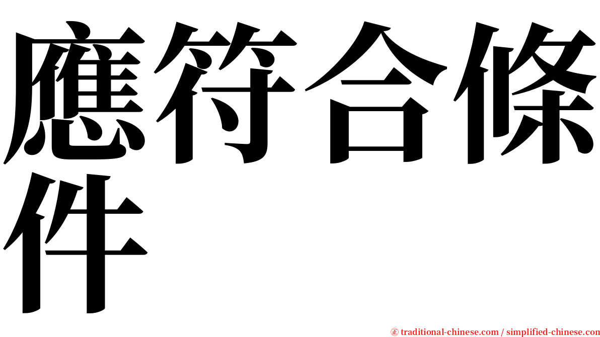 應符合條件 serif font