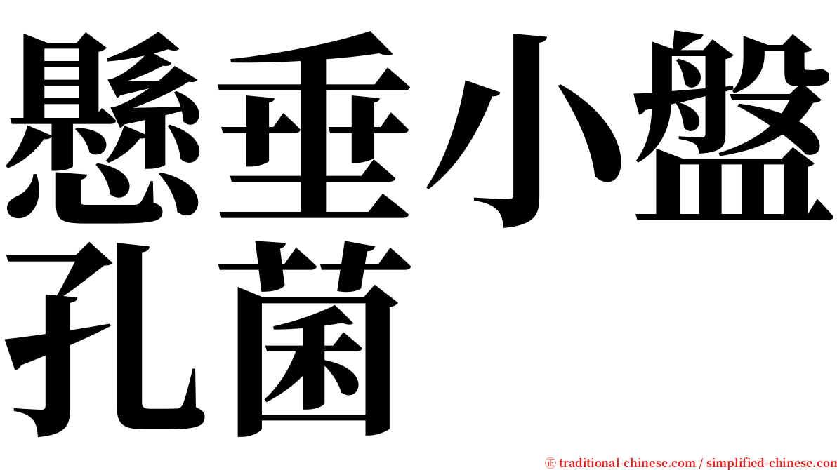 懸垂小盤孔菌 serif font