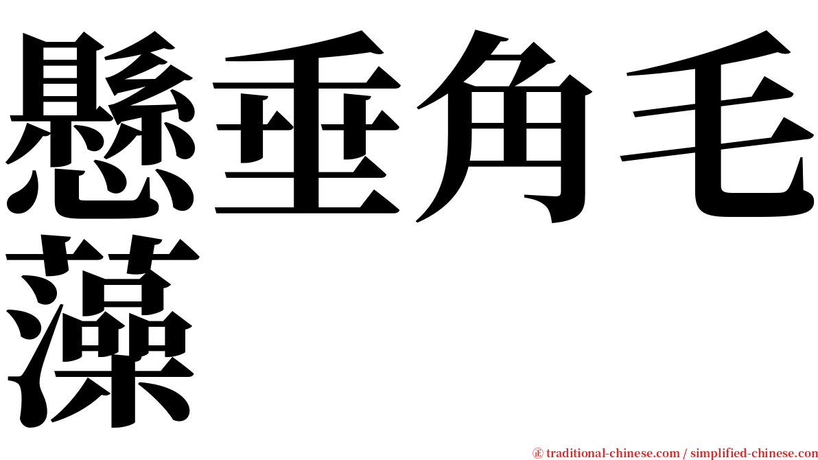 懸垂角毛藻 serif font