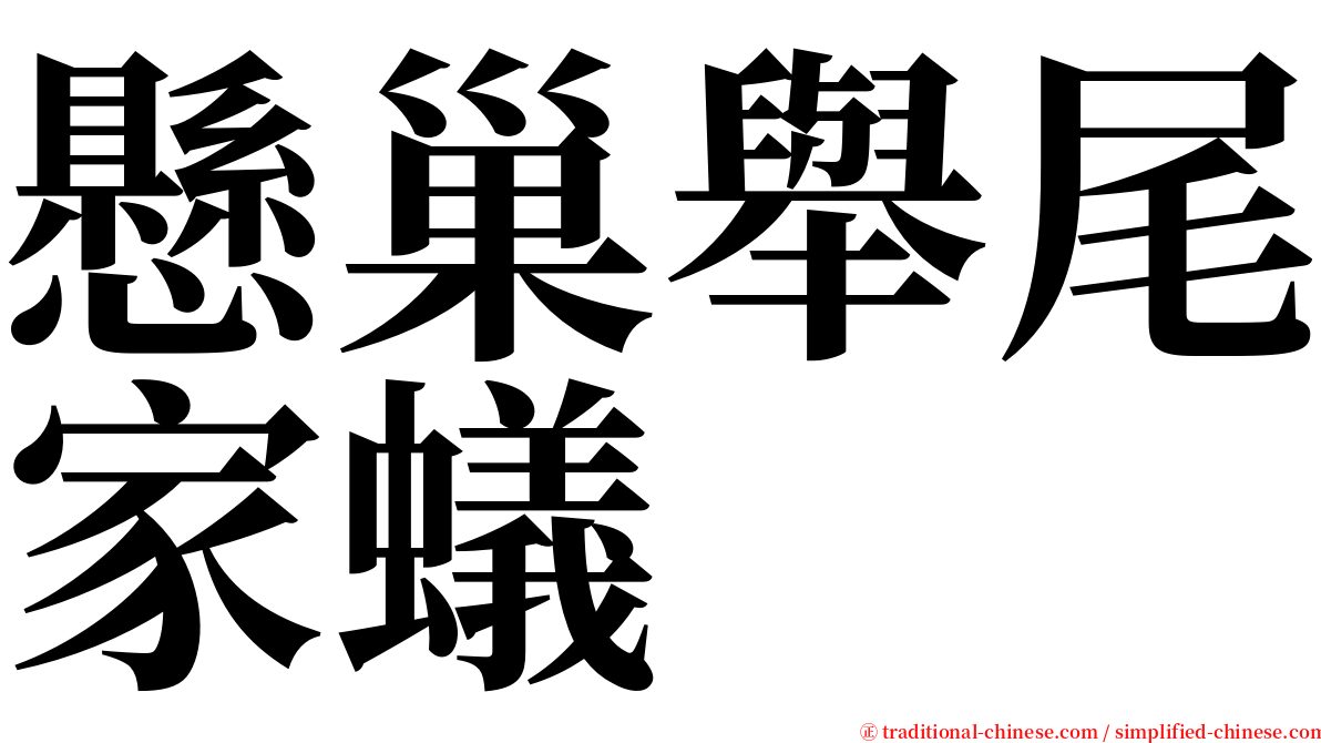 懸巢舉尾家蟻 serif font