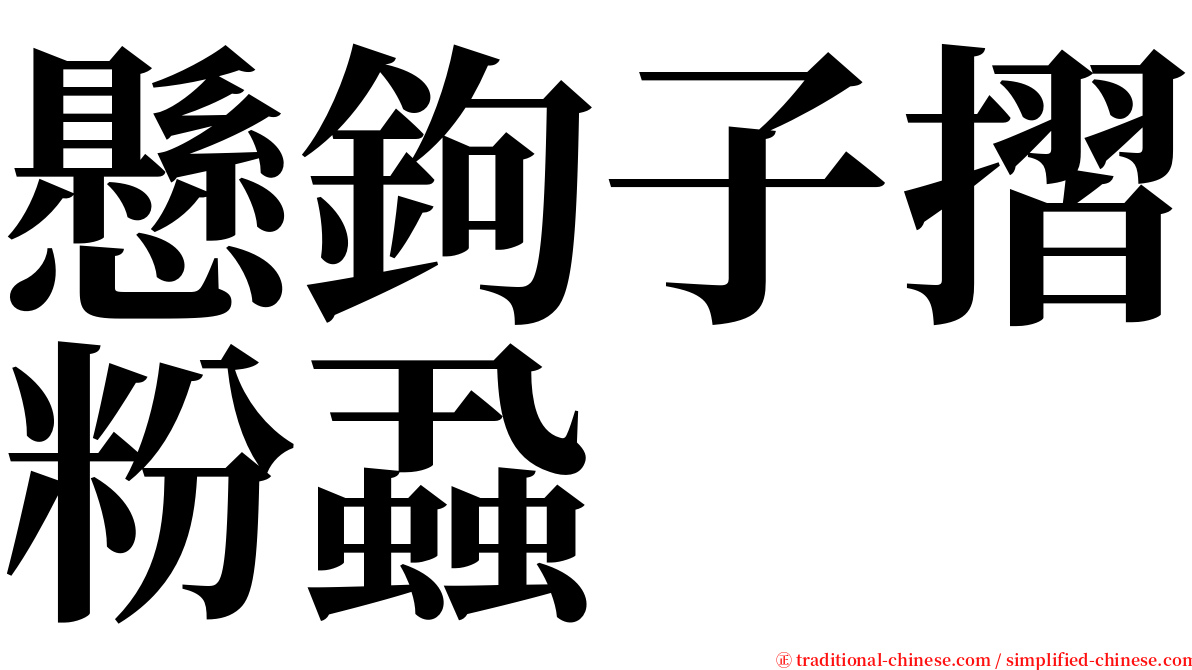 懸鉤子摺粉蝨 serif font