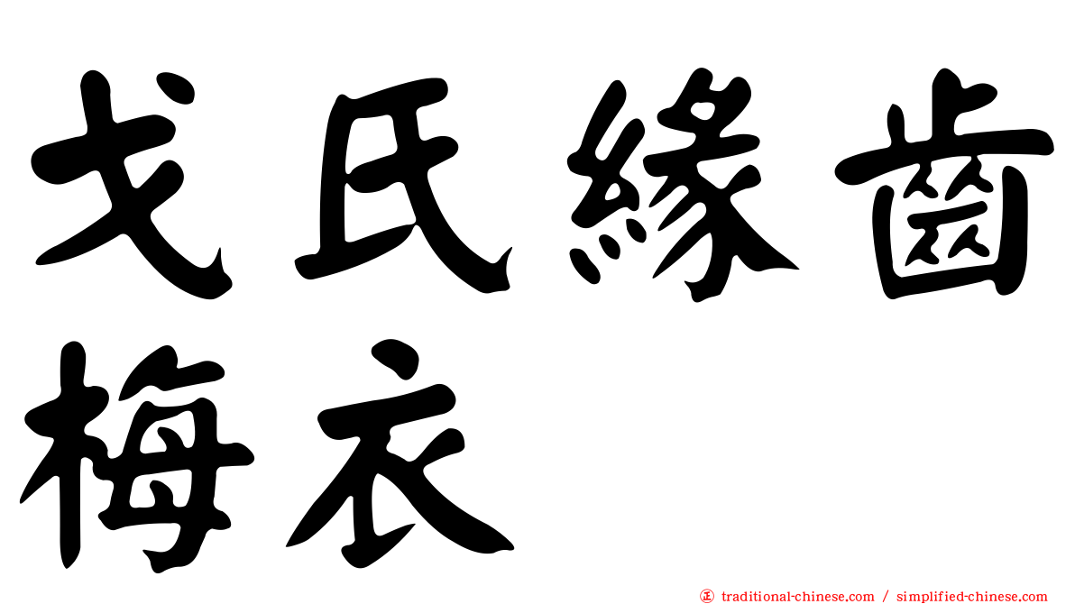 戈氏緣齒梅衣