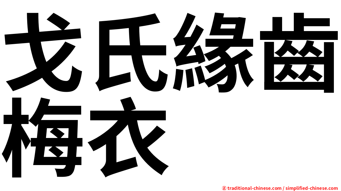 戈氏緣齒梅衣