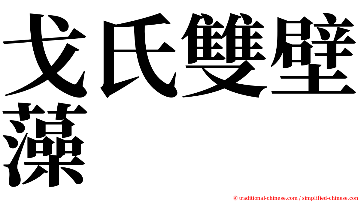 戈氏雙壁藻 serif font