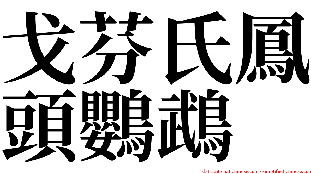 戈芬氏鳳頭鸚鵡 serif font