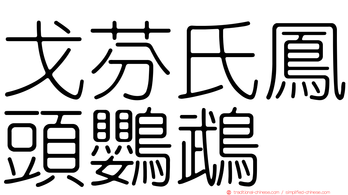 戈芬氏鳳頭鸚鵡