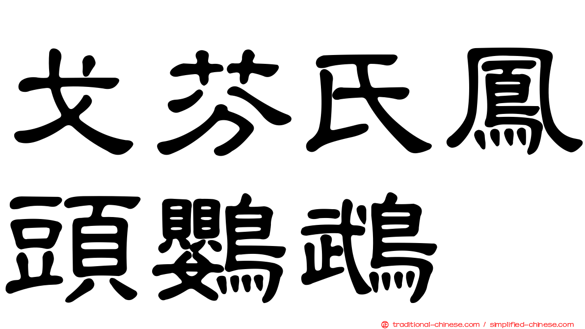 戈芬氏鳳頭鸚鵡