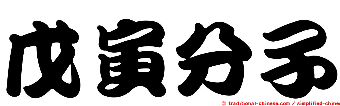戊寅分子