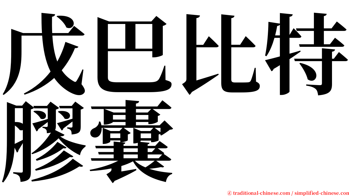 戊巴比特膠囊 serif font