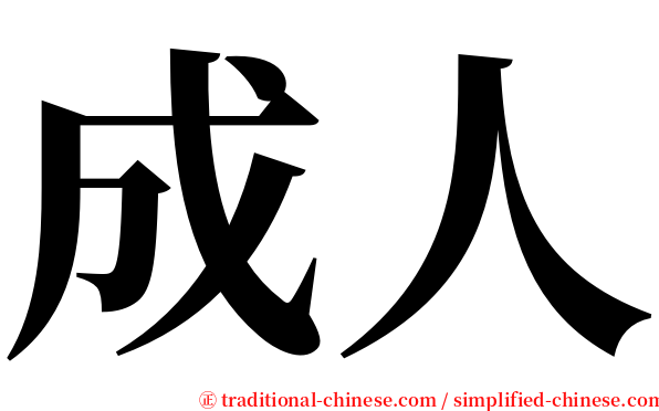 成人 serif font