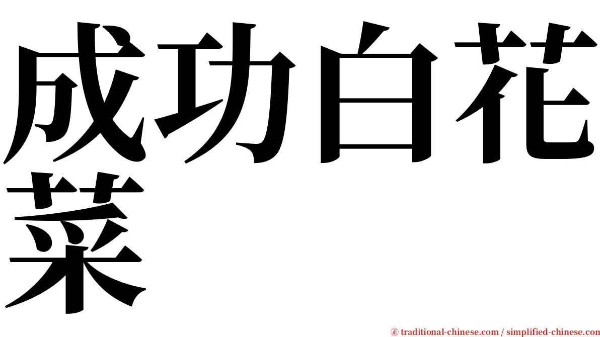 成功白花菜 serif font