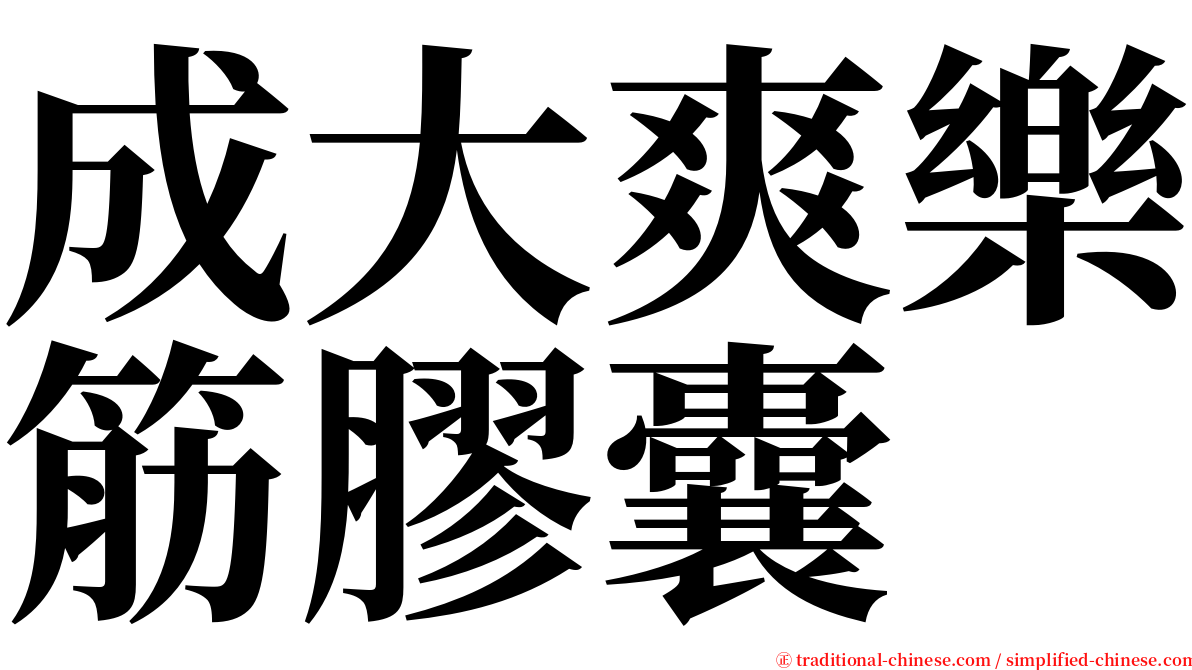 成大爽樂筋膠囊 serif font