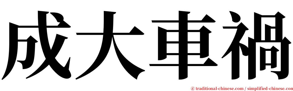 成大車禍 serif font