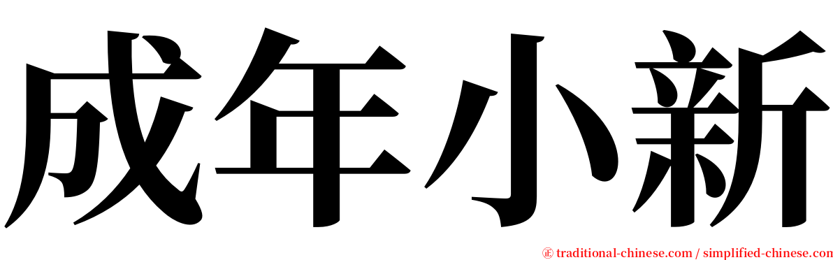 成年小新 serif font