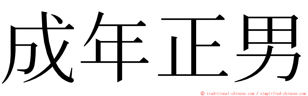 成年正男 ming font