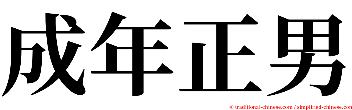 成年正男 serif font