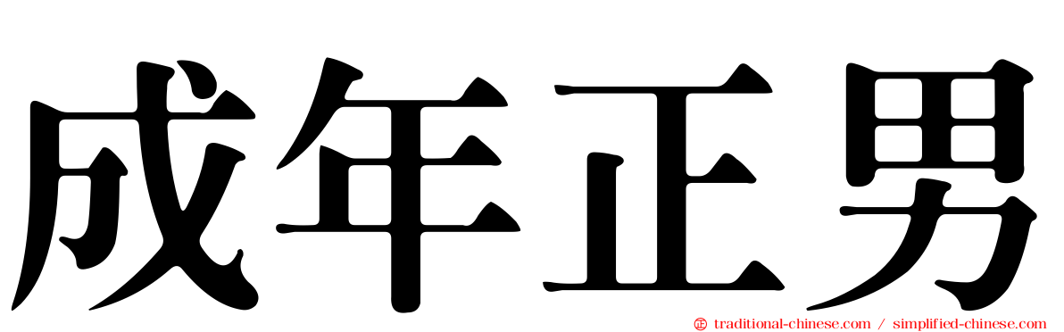 成年正男