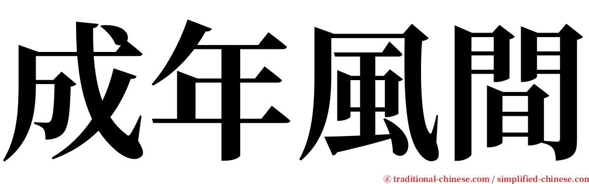 成年風間 serif font