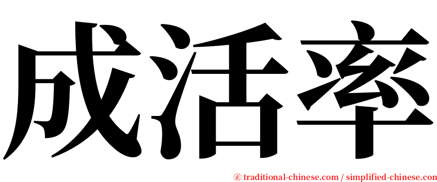 成活率 serif font