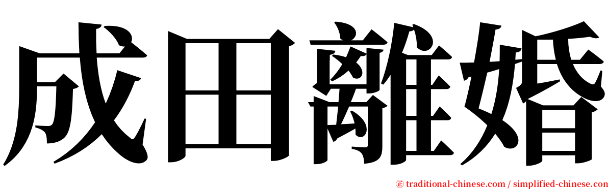 成田離婚 serif font
