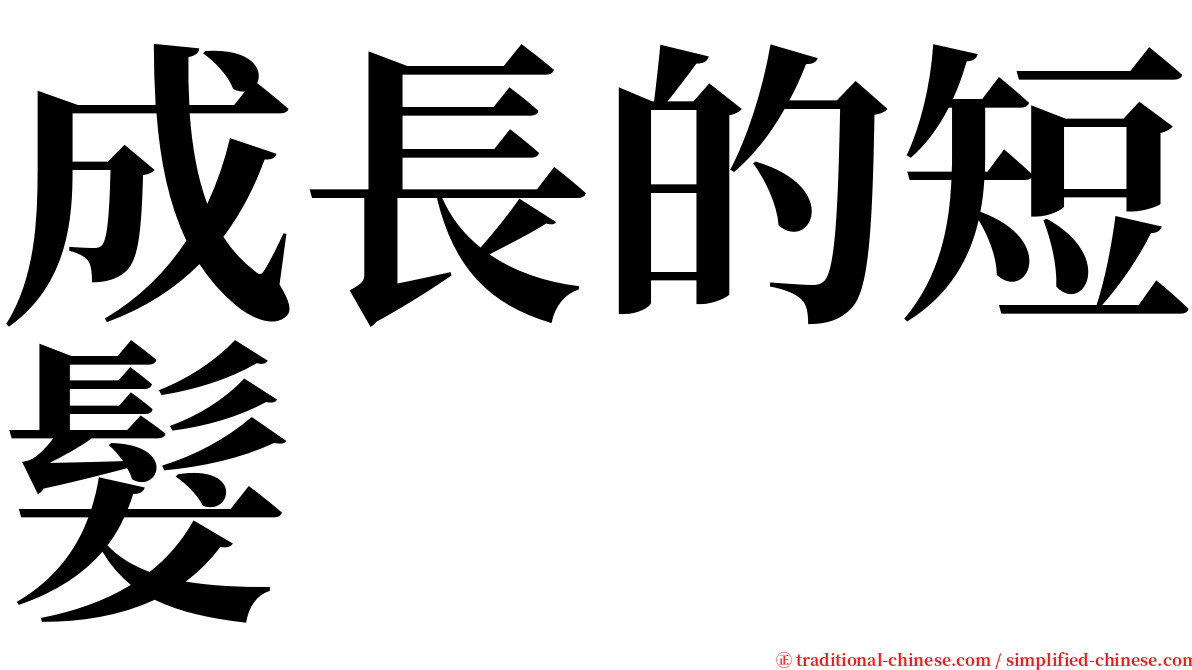 成長的短髮 serif font