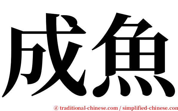 成魚 serif font