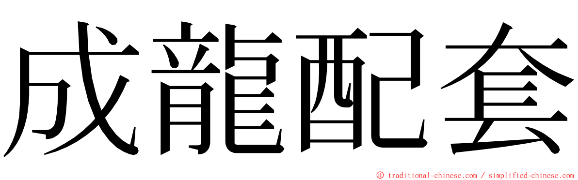 成龍配套 ming font