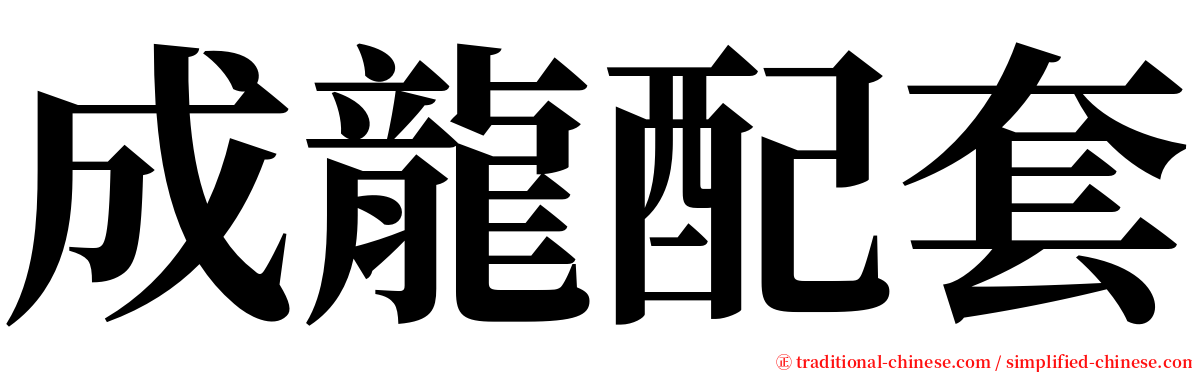 成龍配套 serif font