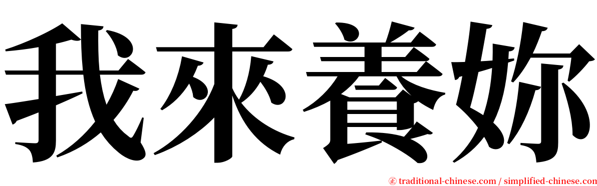 我來養妳 serif font