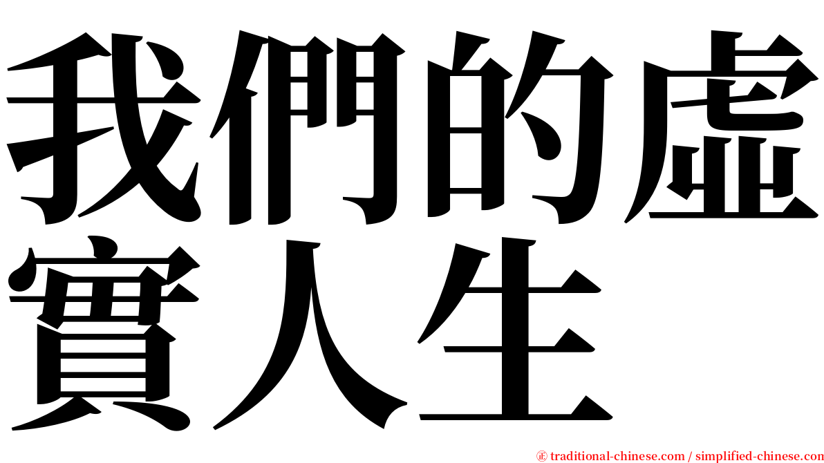 我們的虛實人生 serif font