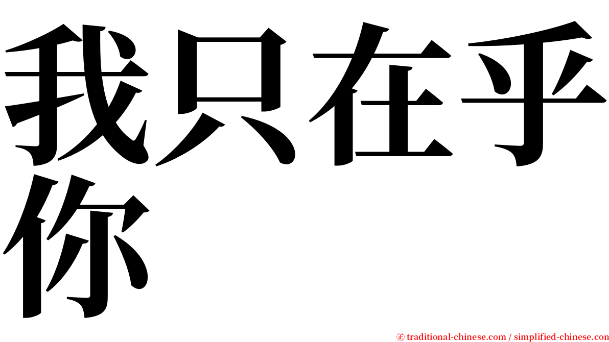 我只在乎你 serif font