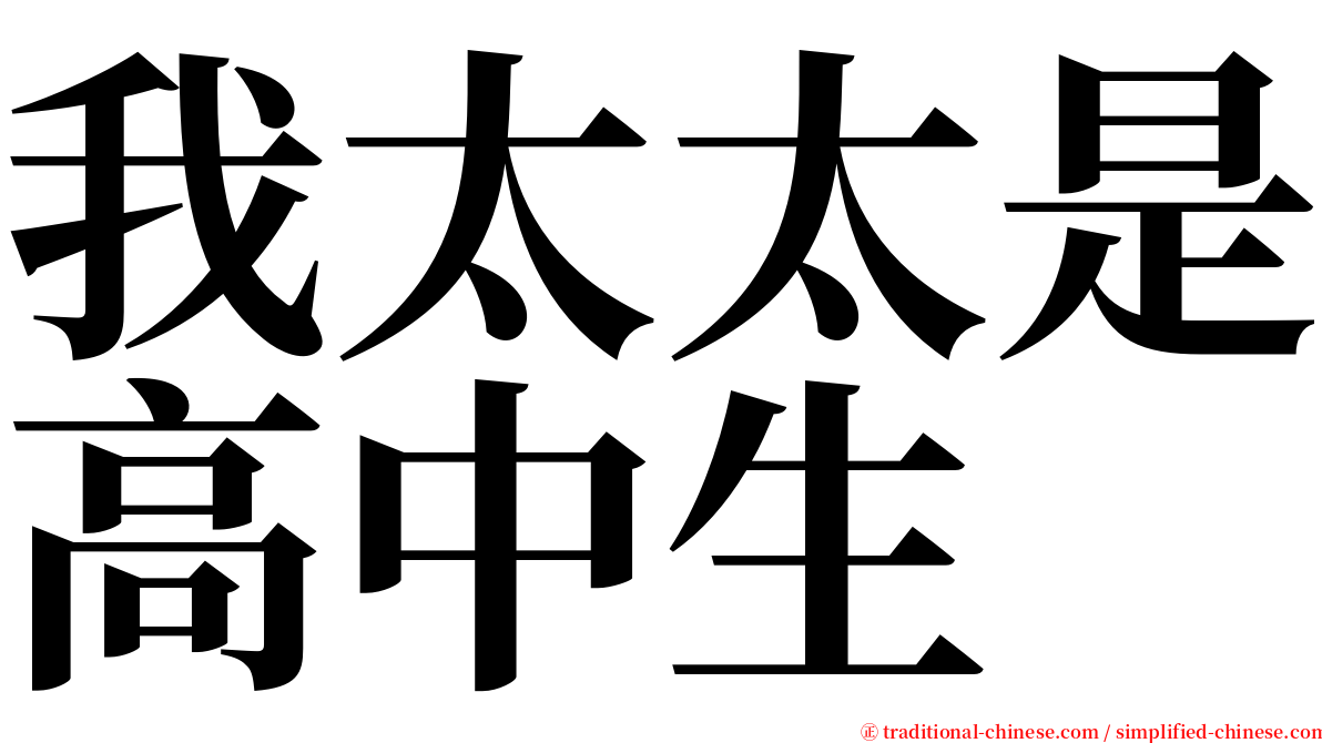 我太太是高中生 serif font