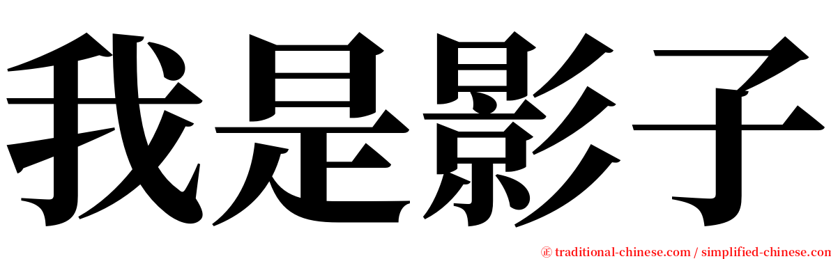 我是影子 serif font