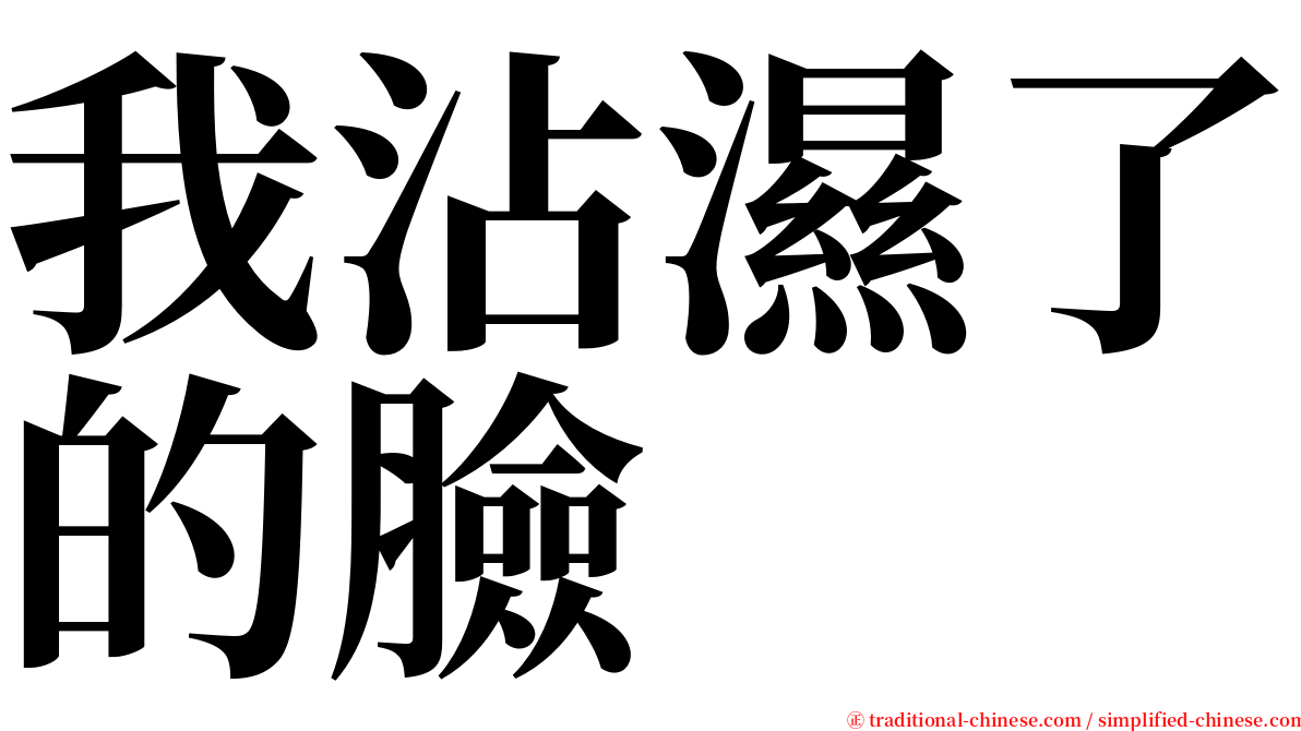 我沾濕了的臉 serif font