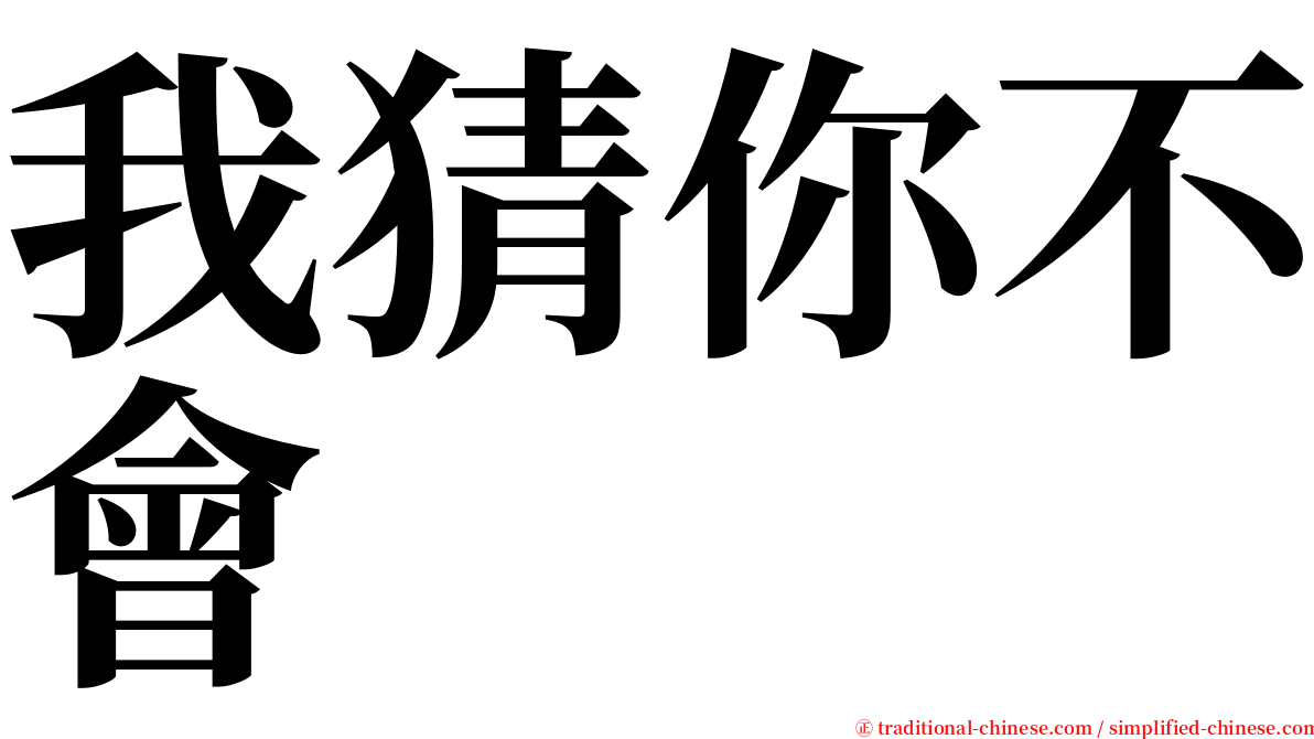 我猜你不會 serif font