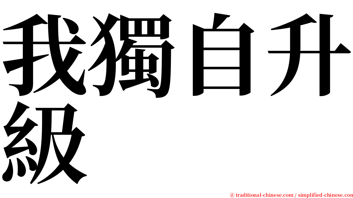 我獨自升級 serif font