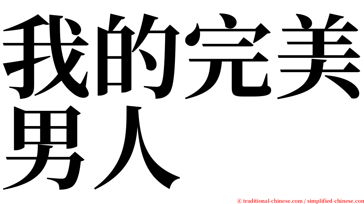 我的完美男人 serif font