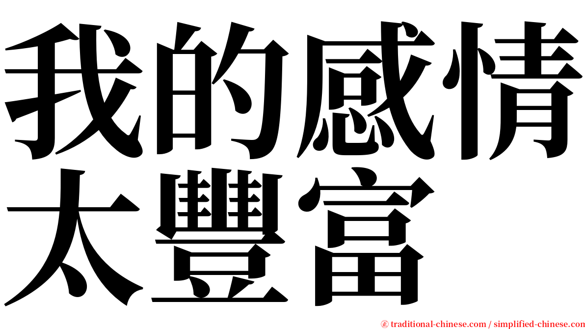 我的感情太豐富 serif font