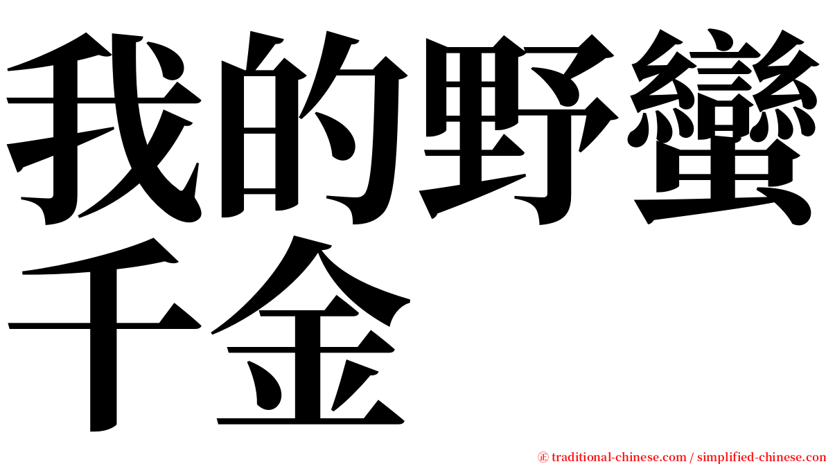 我的野蠻千金 serif font