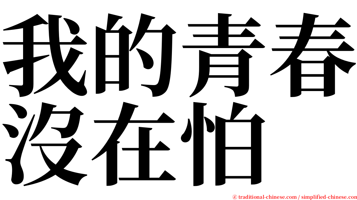 我的青春沒在怕 serif font