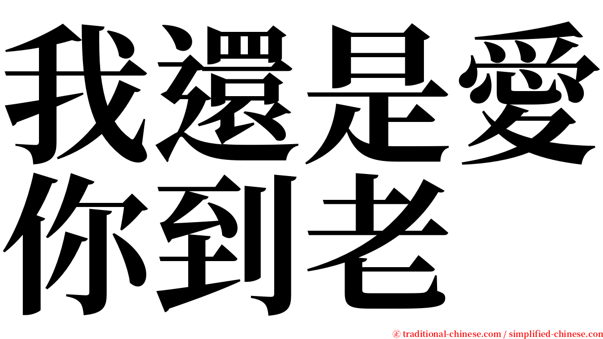 我還是愛你到老 serif font