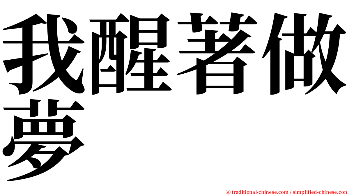 我醒著做夢 serif font