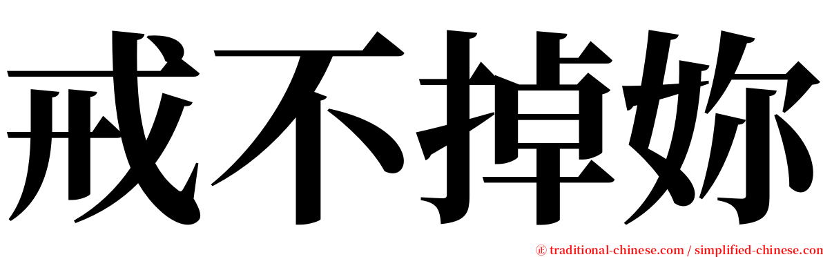 戒不掉妳 serif font