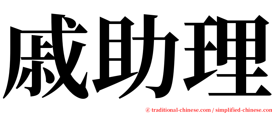 戚助理 serif font