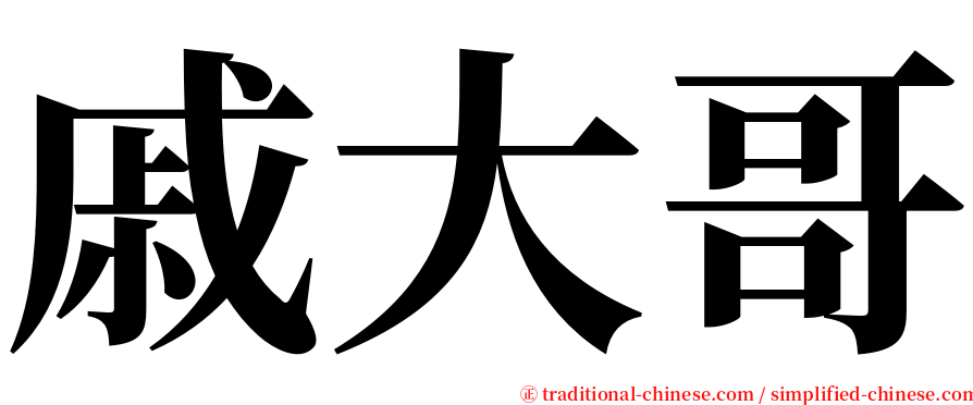 戚大哥 serif font