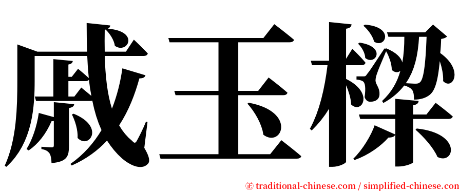 戚玉樑 serif font