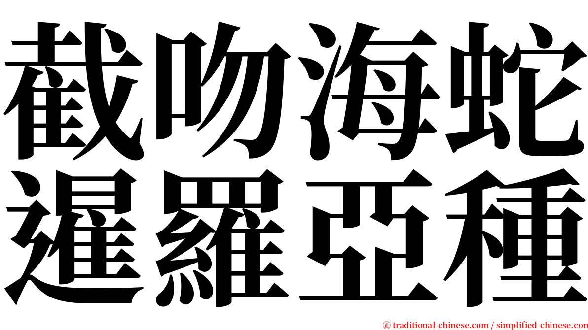 截吻海蛇暹羅亞種 serif font